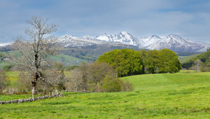 Serrurier Mont-de-Marsan